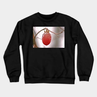 The Last Persimmon Crewneck Sweatshirt